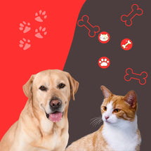 Mascotas
